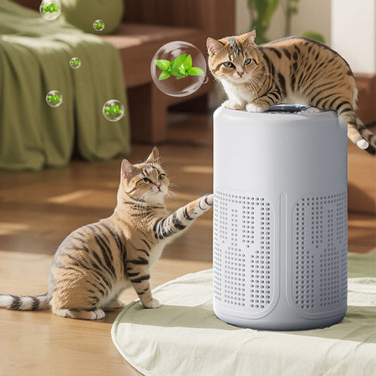 Compact home air purifier bestseller Quiet, energy-efficient, and perfect for allergy sufferers, dust, and pet hair